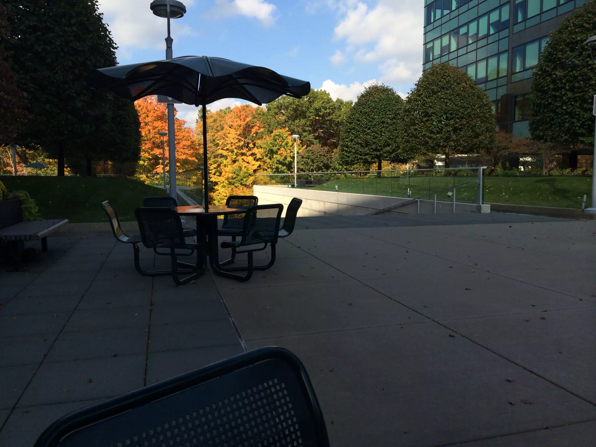 Fall at Work