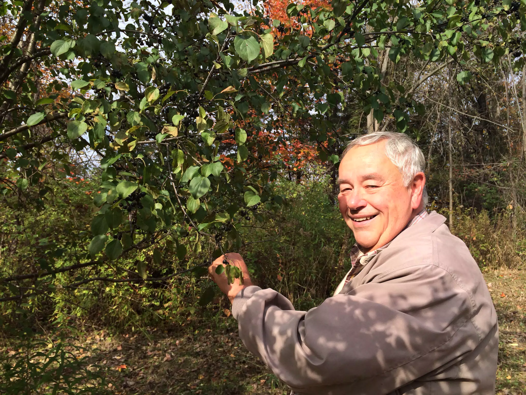 Dad with Huckleberries