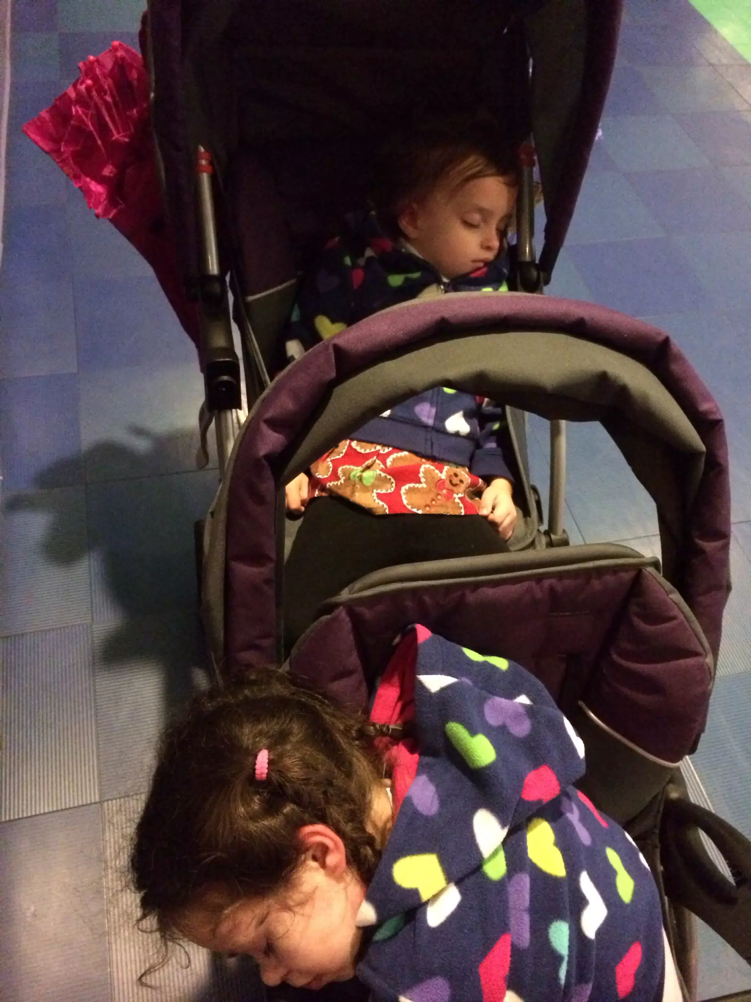 Passed Out at Disney