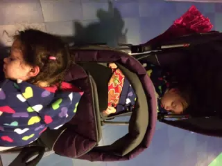 Passed Out at Disney