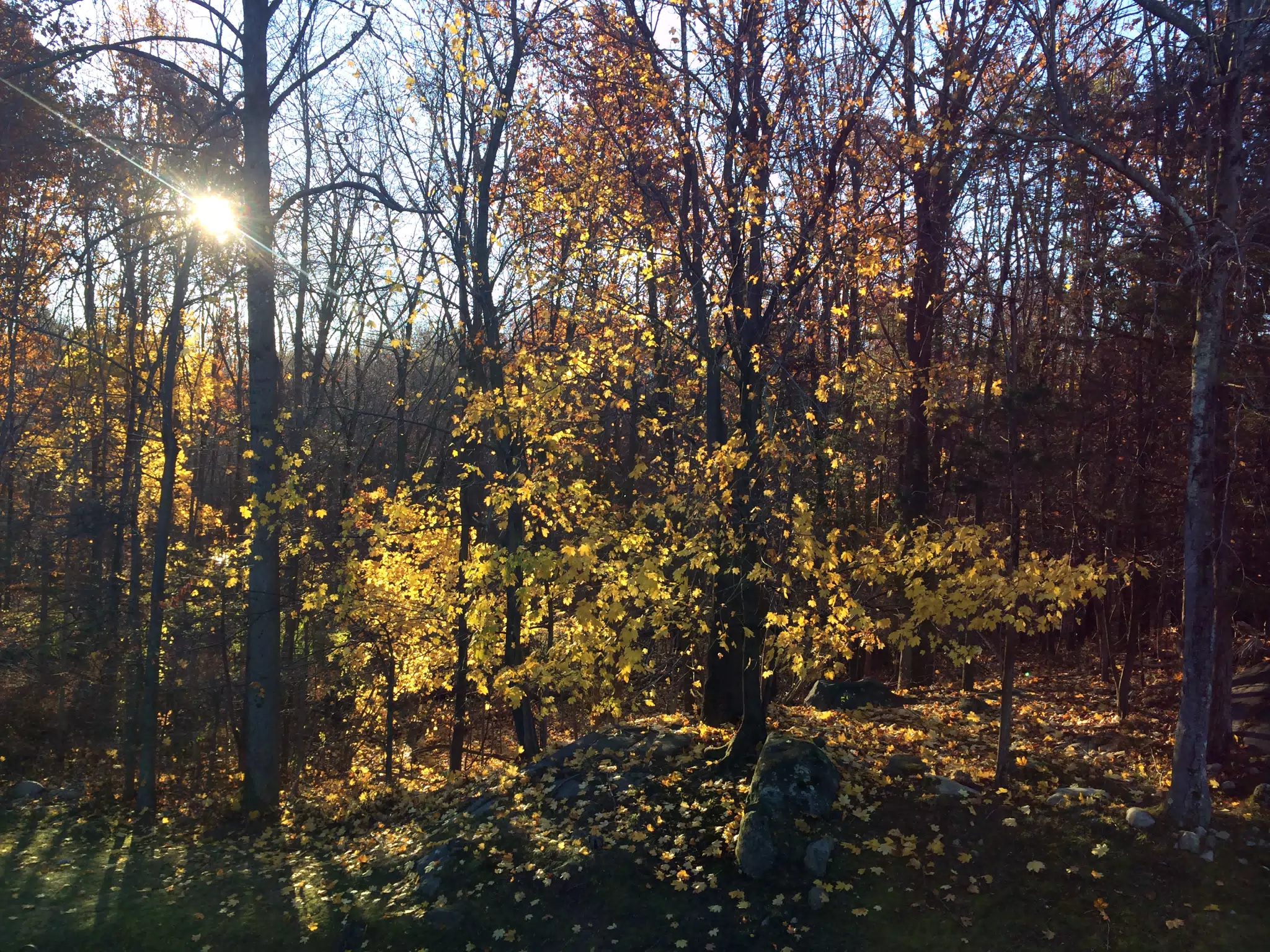 Bedroom View in morning