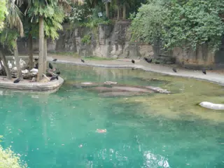 DSCN2748