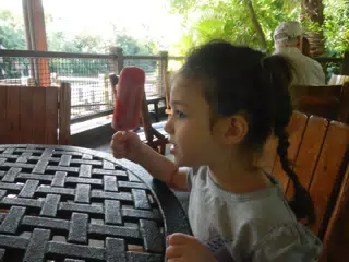 DSCN2739