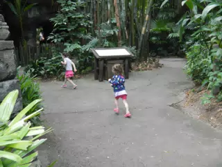 DSCN2733