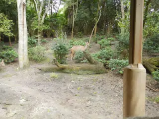 DSCN2744