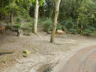 DSCN2746