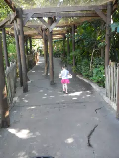 DSCN2736