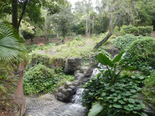DSCN2731