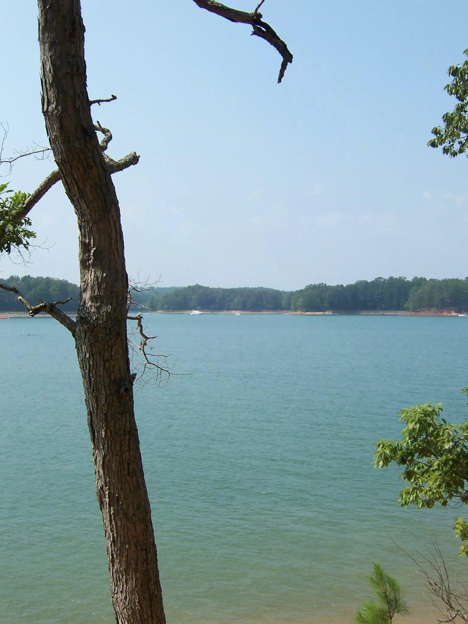 Lake Lanier, Georgia