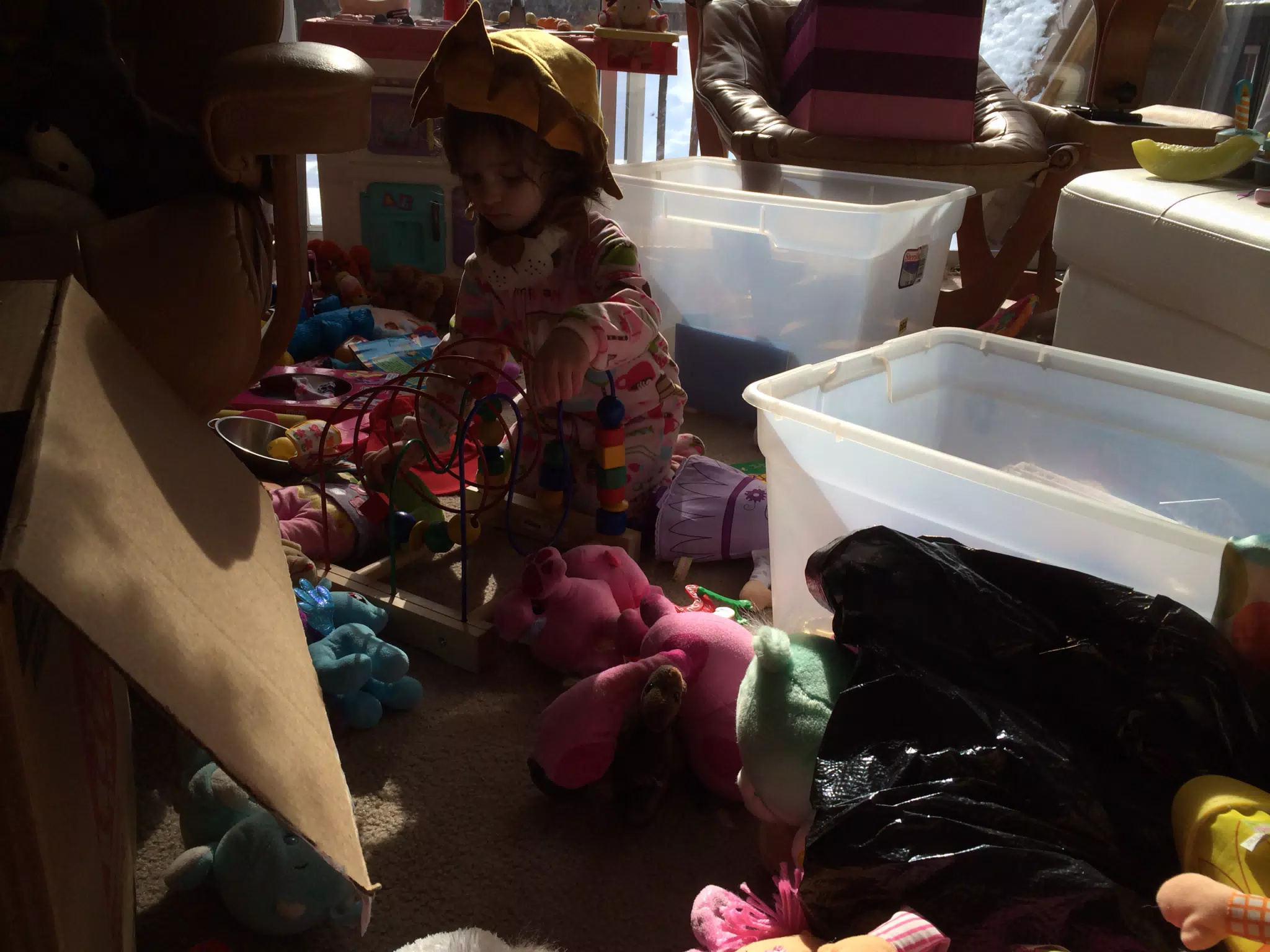 Lion Unpacking Toys