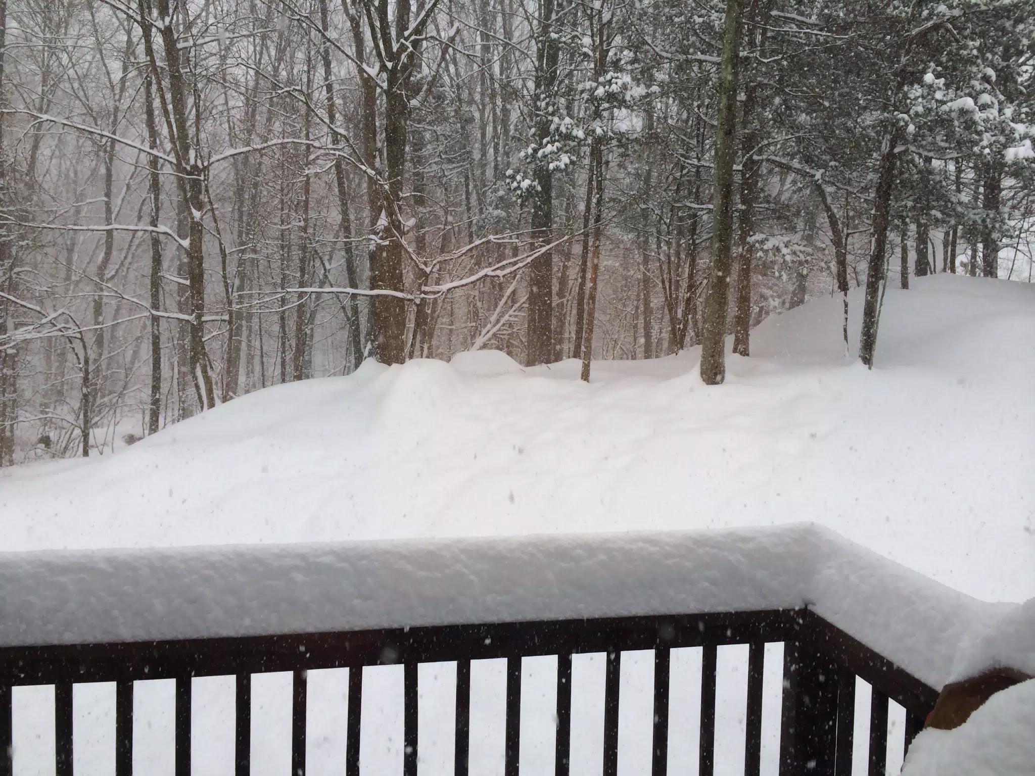 Snowstorm in Peekskill