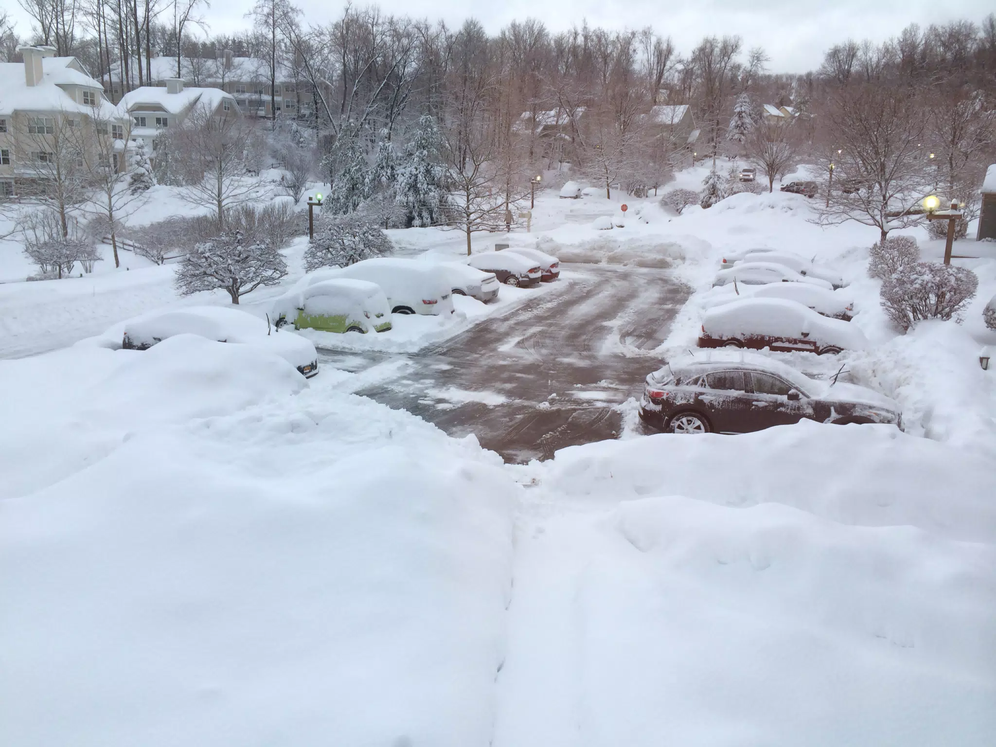 Snowstorm Day After