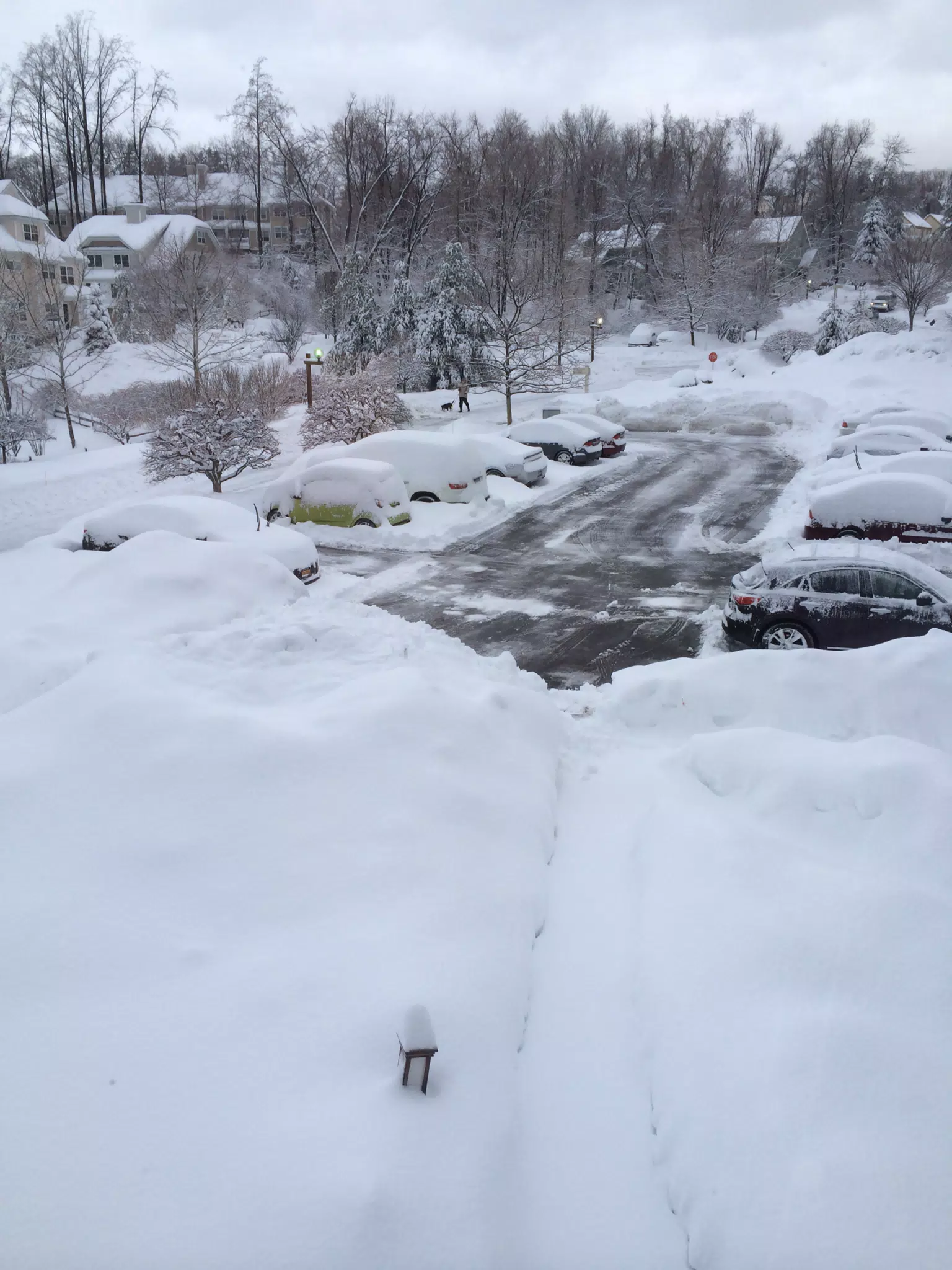 Snowstorm Day After