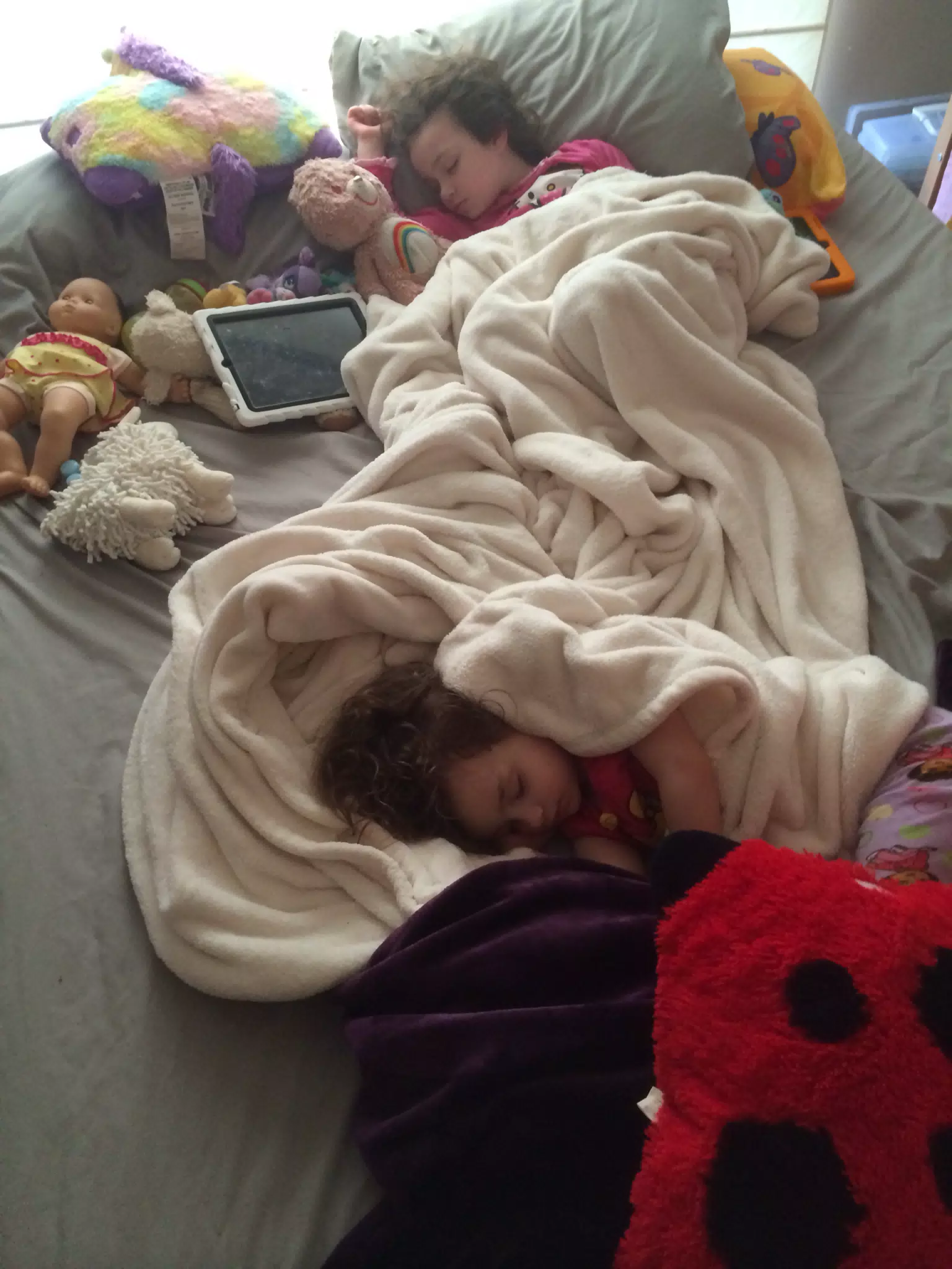 This is how they sleep
