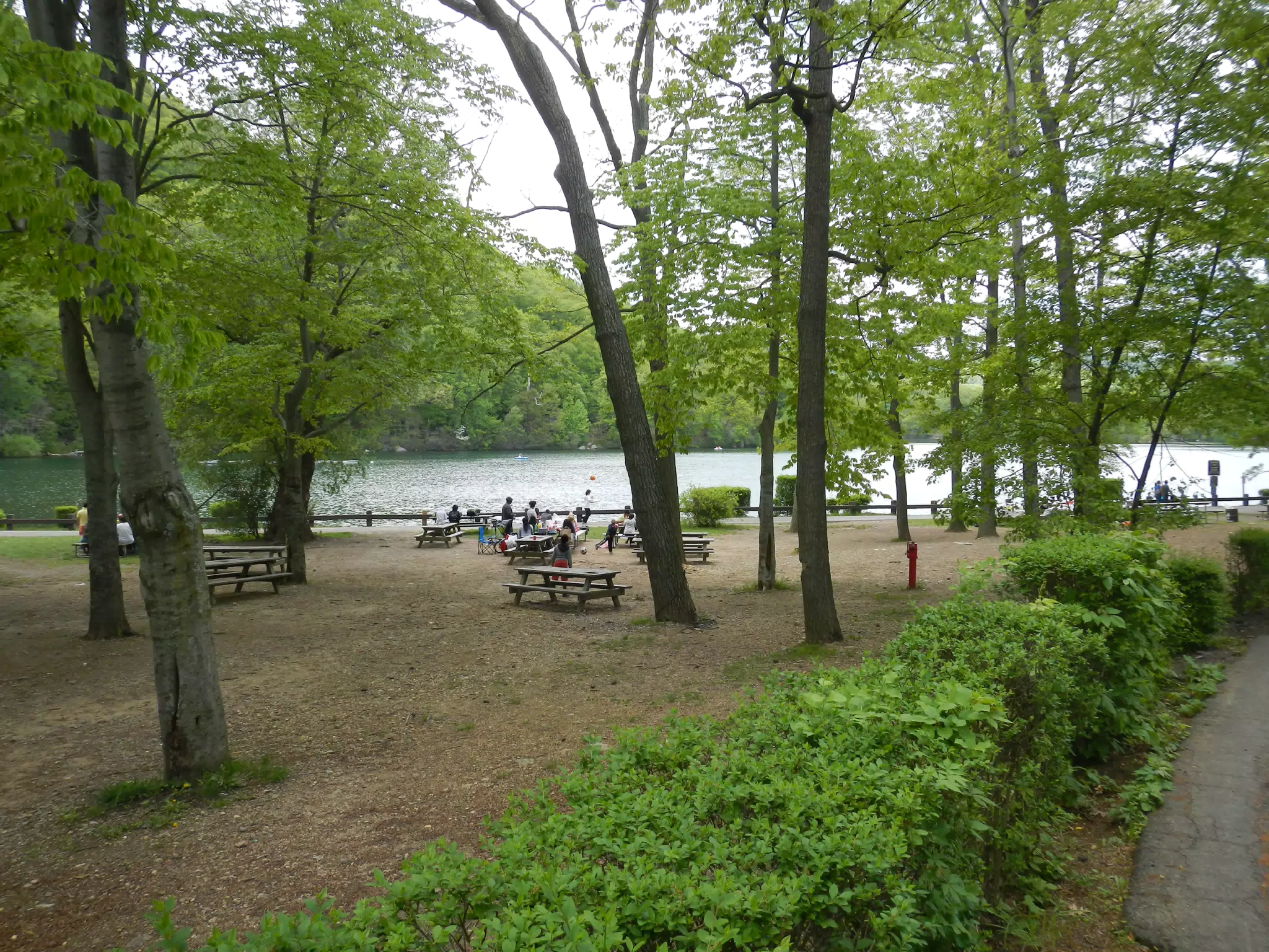DSCN2851