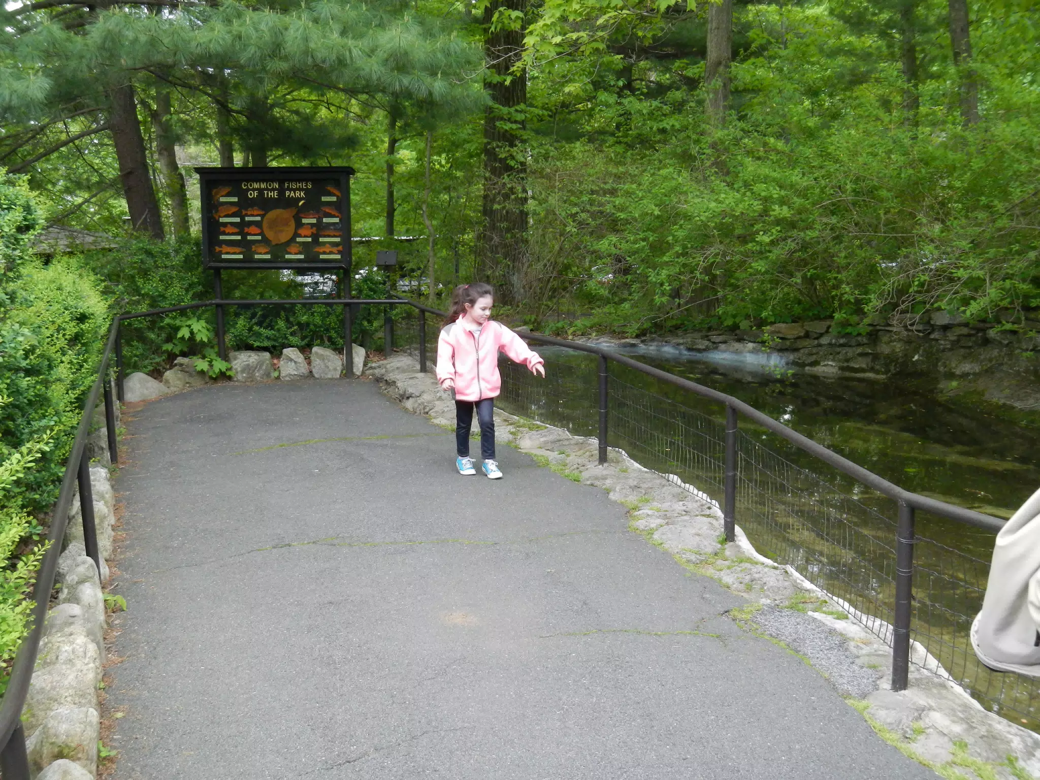 DSCN2871