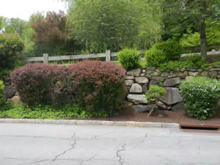 DSCN2904
