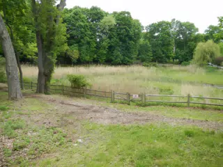DSCN2901