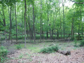 DSCN2895