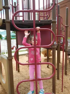DSCN2881