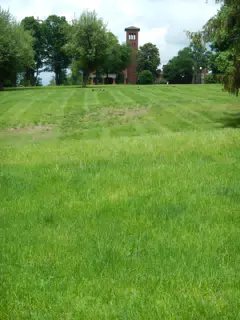DSCN2906