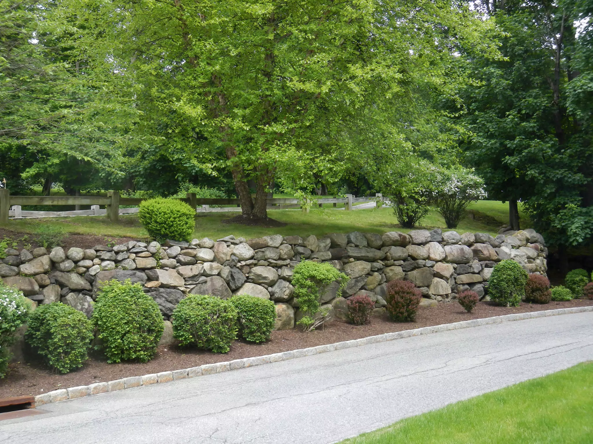 DSCN2903