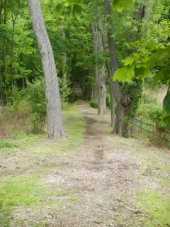 DSCN2902