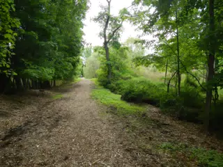 DSCN2893