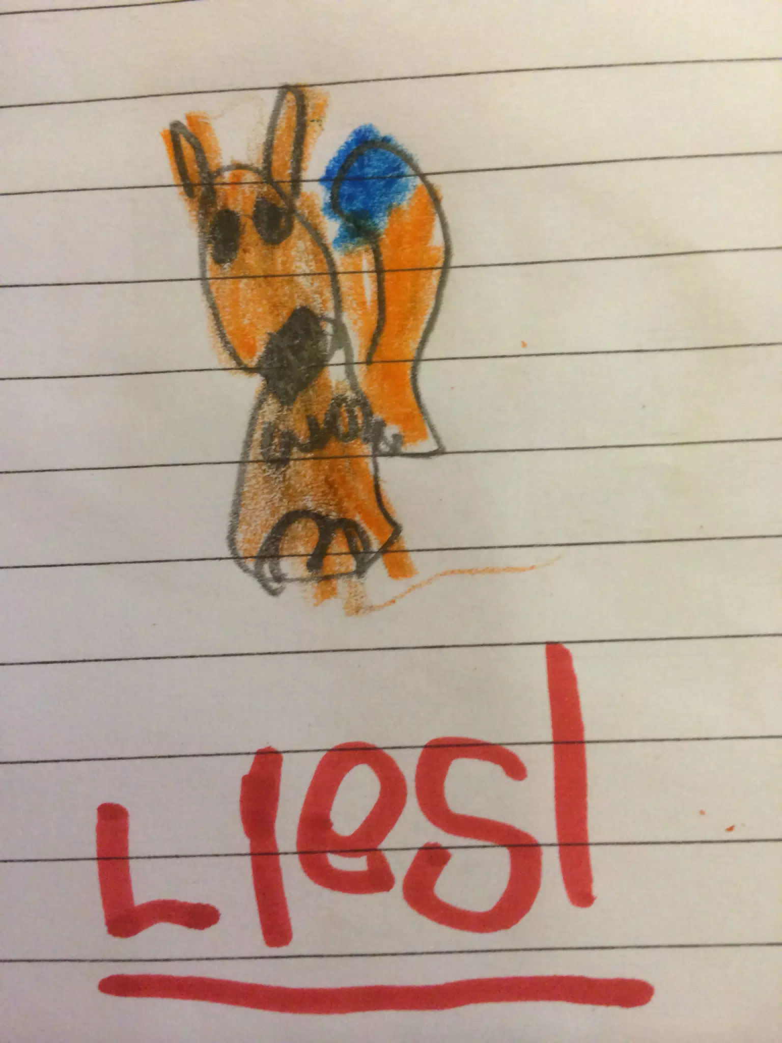 Liesl's Fox
