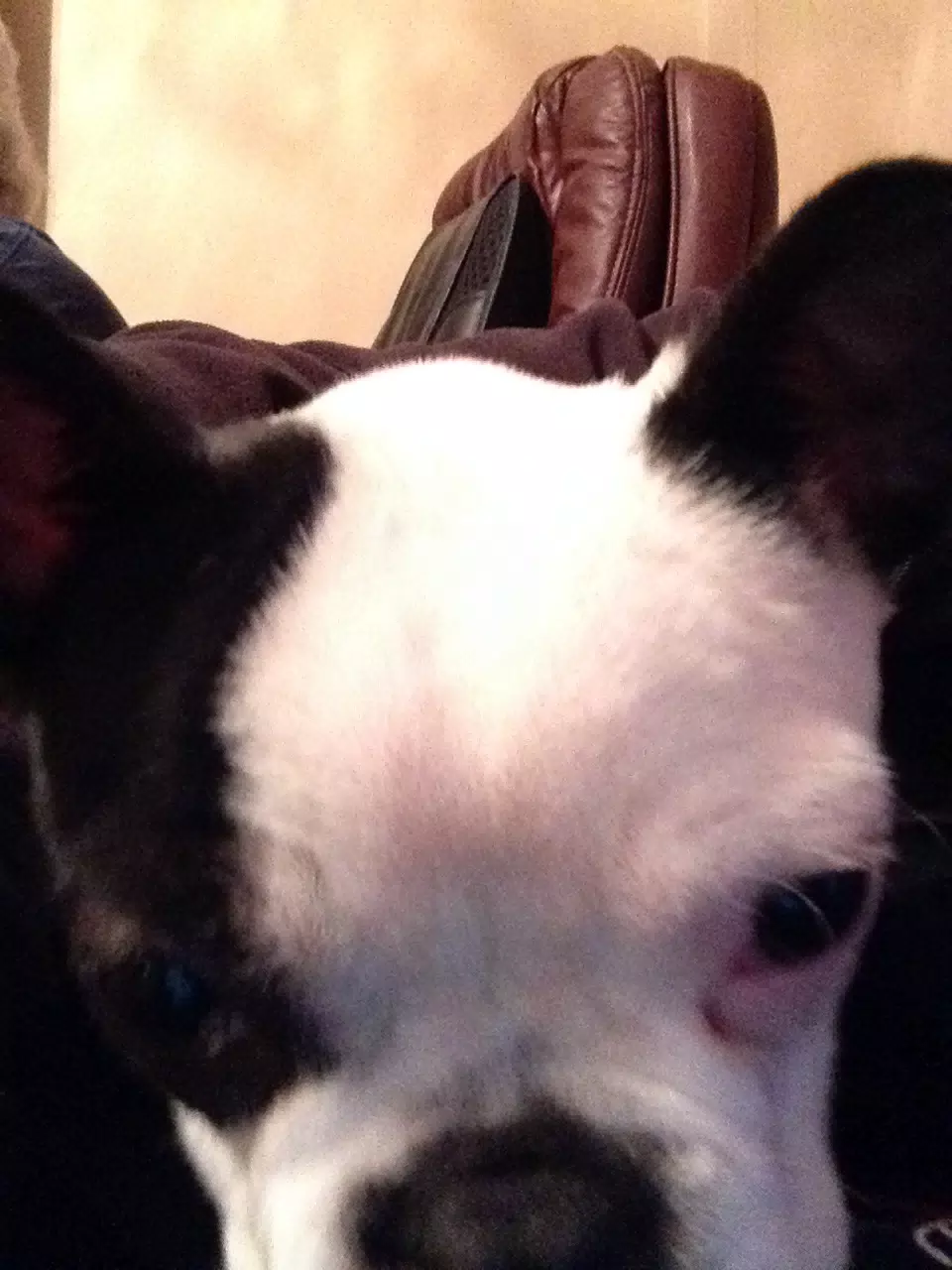 Truman