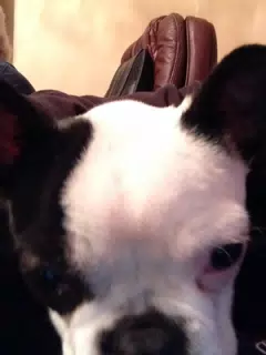 Truman