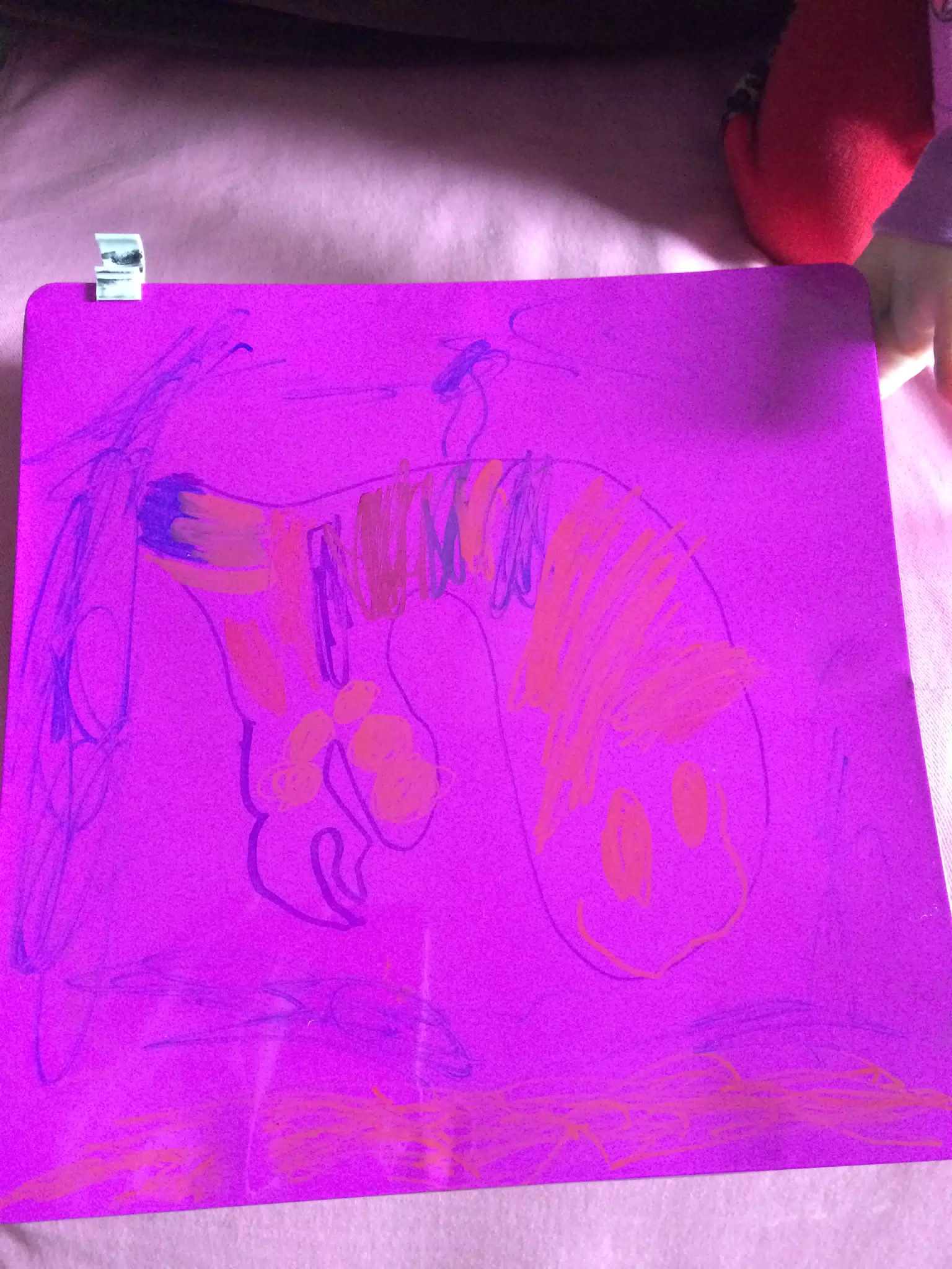 Ciana's Dolphin