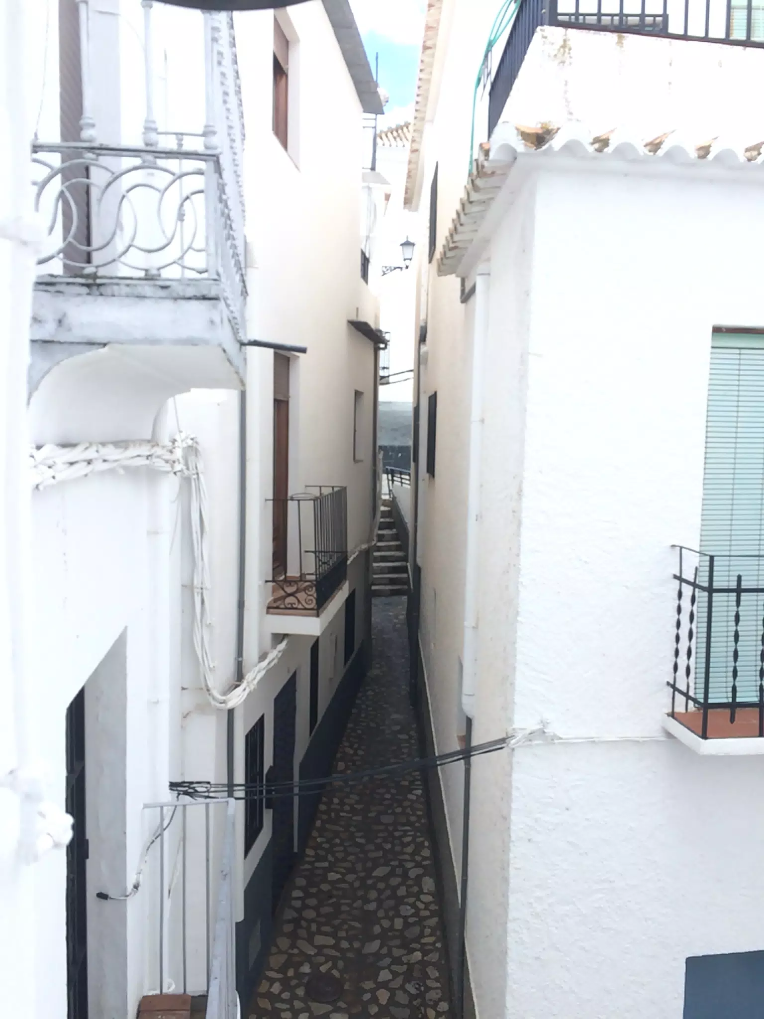Cañar