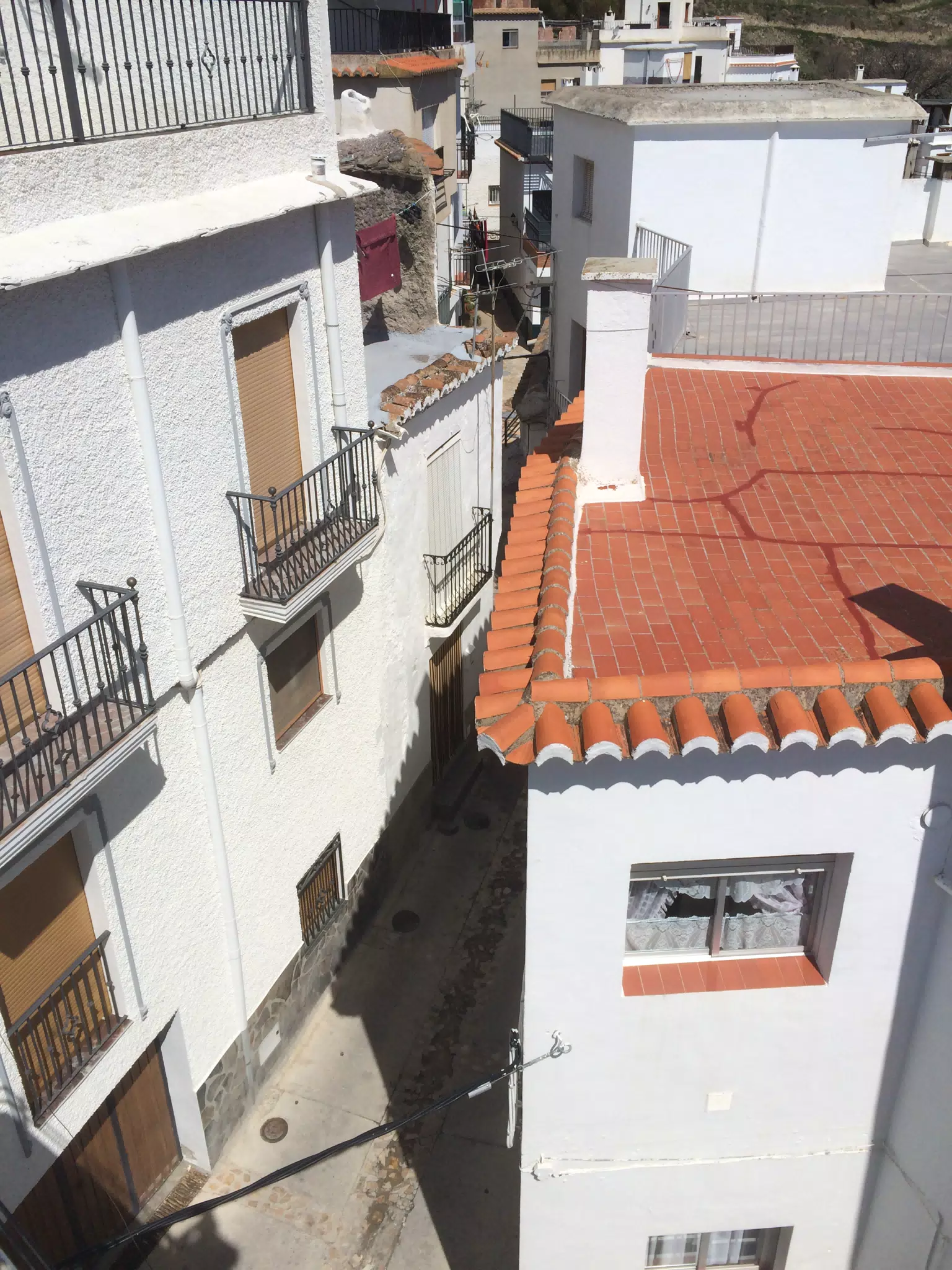 Ally in Cáñar