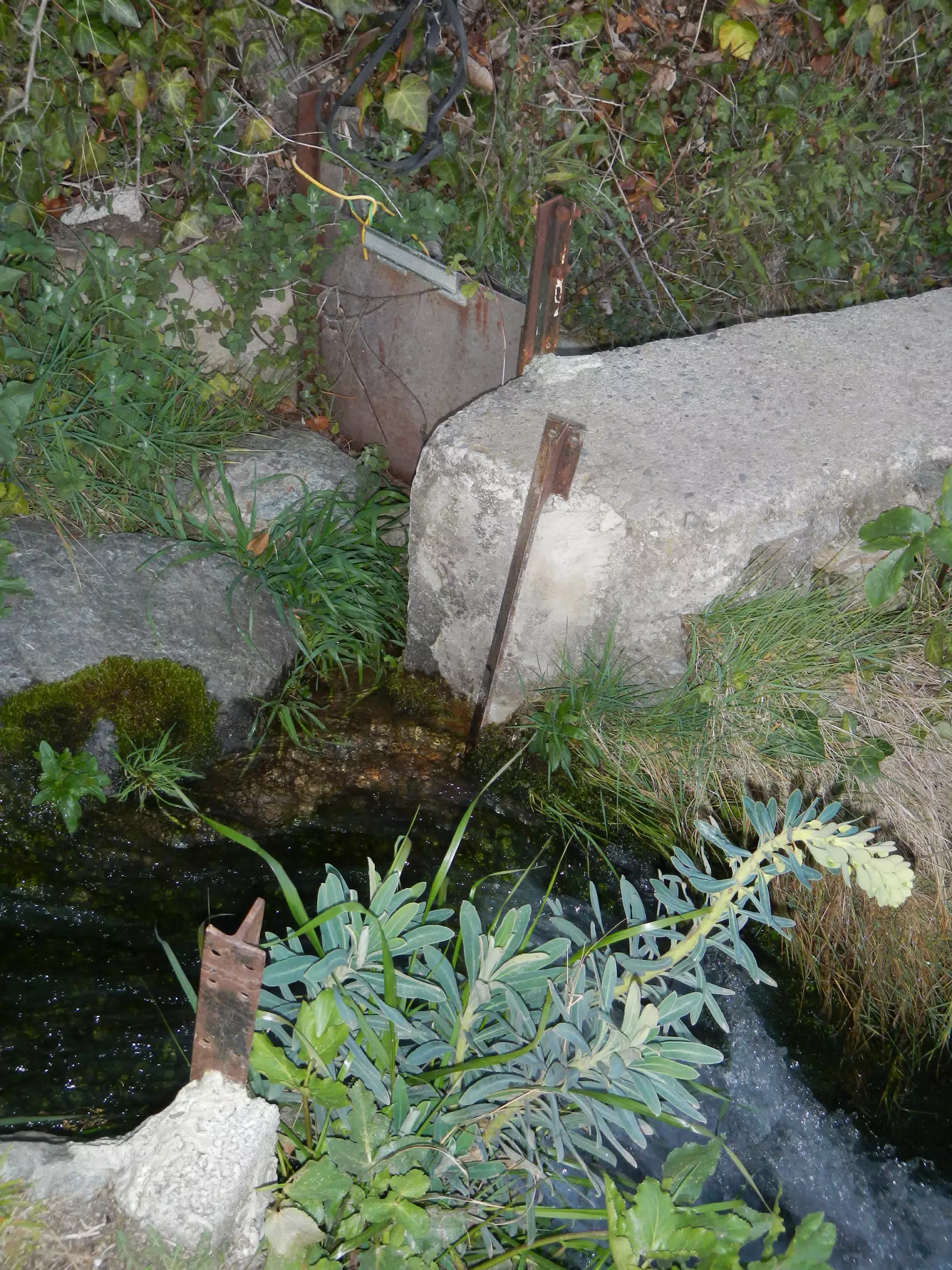 Irrigation Control Structure