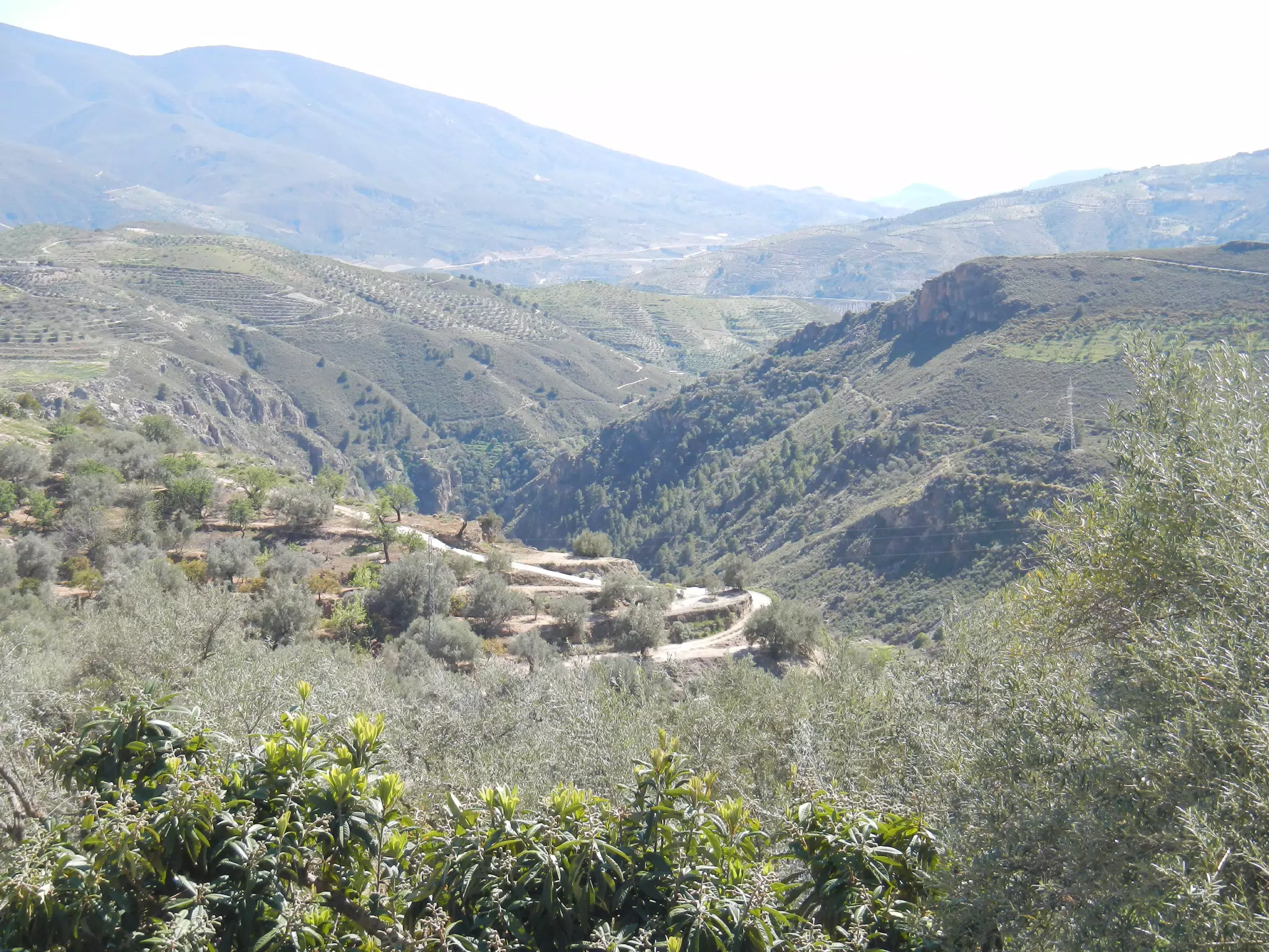Roads in Lanjarón Valley