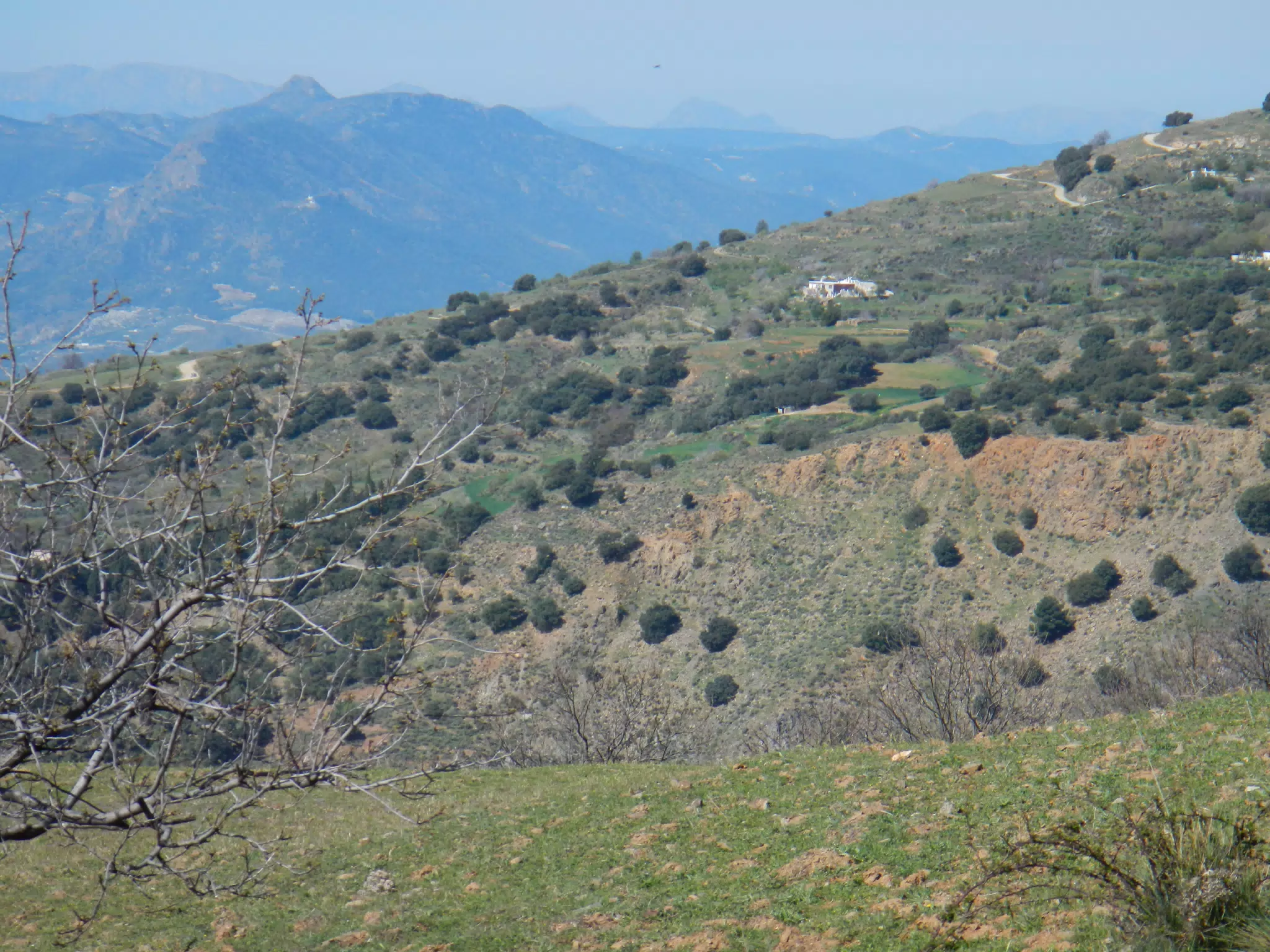Mountain Farm