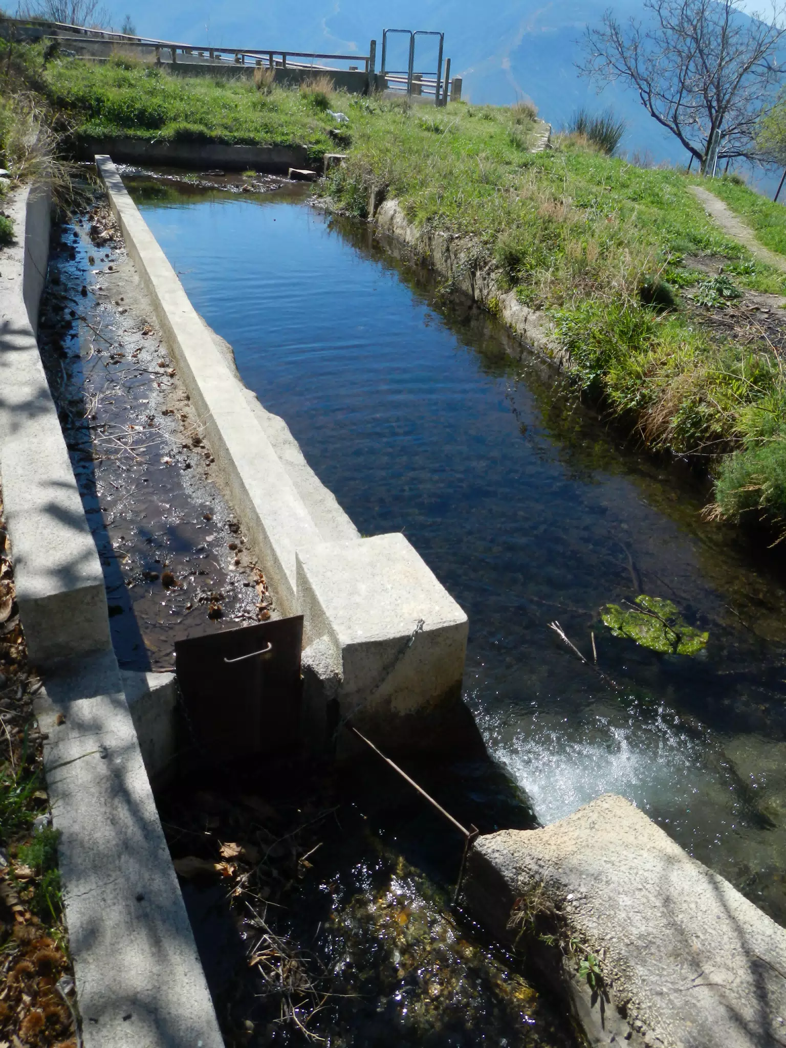 Acequia in the Mountains
