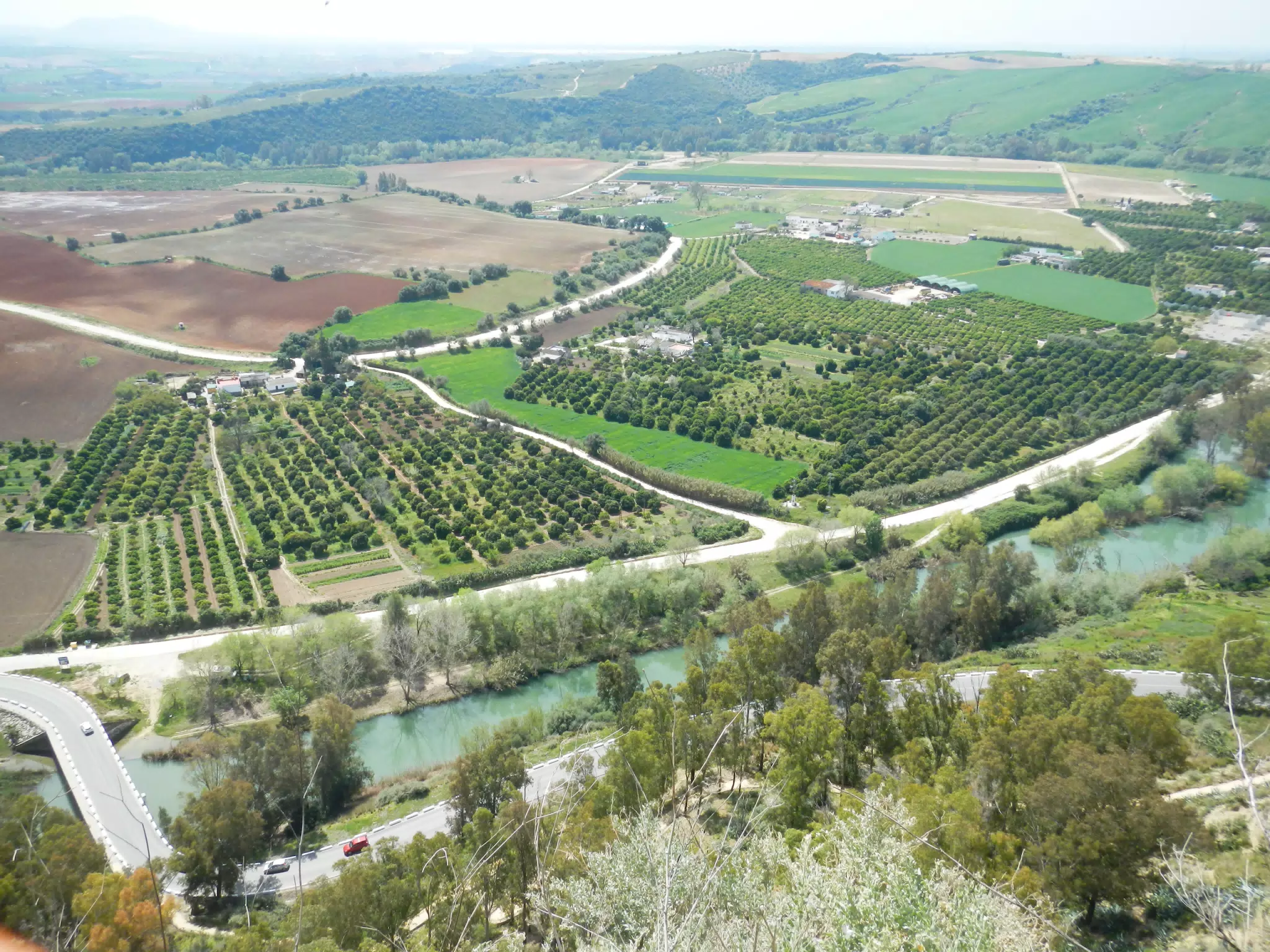 Fields South of Arcos de la Frontera