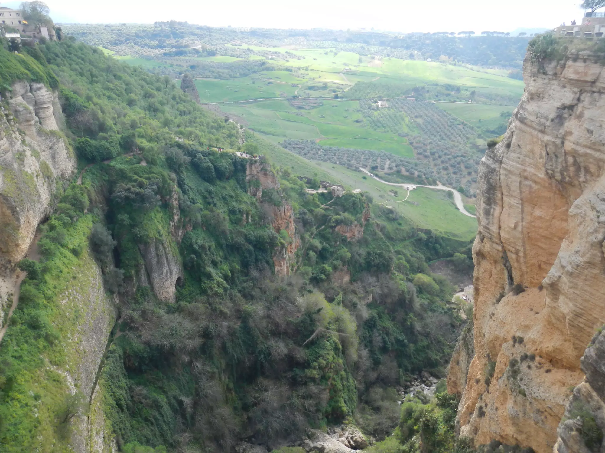 Fields from Ronda