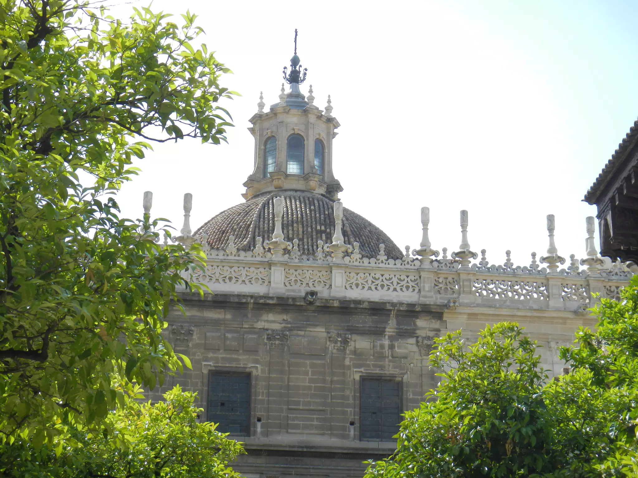 Sevilla Cathedral Dome from Orange Grove