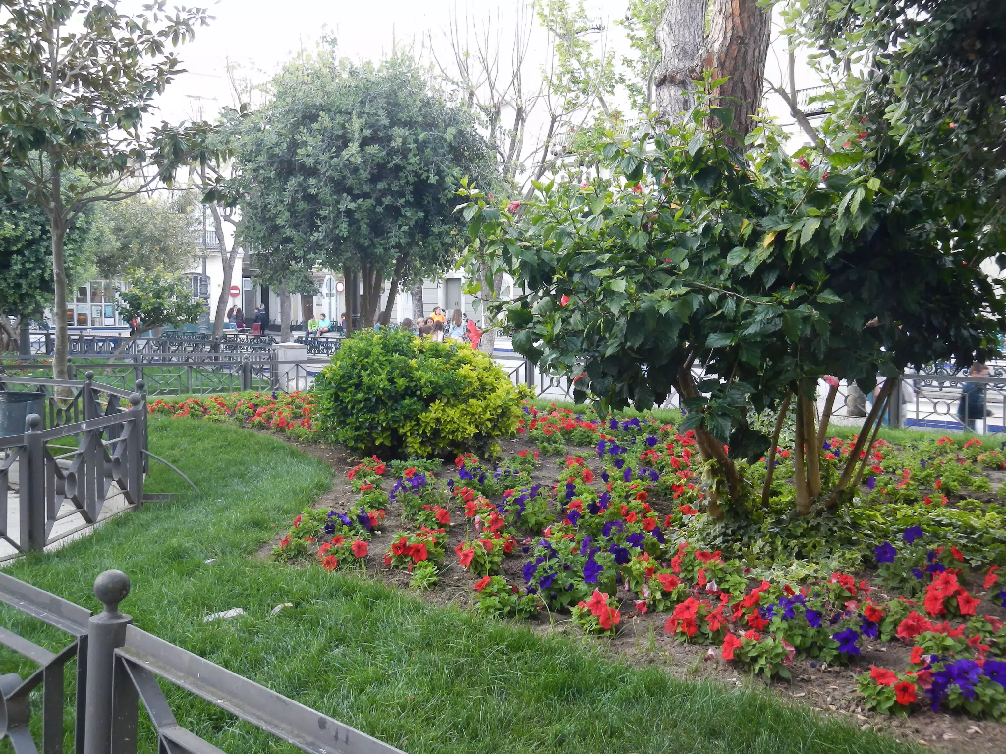 Flowers in Cádiz Plaza