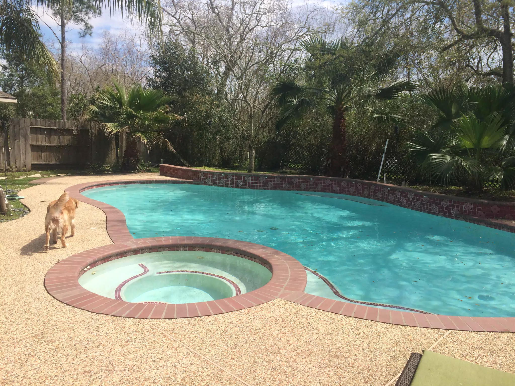 Afternoon in Friendswood