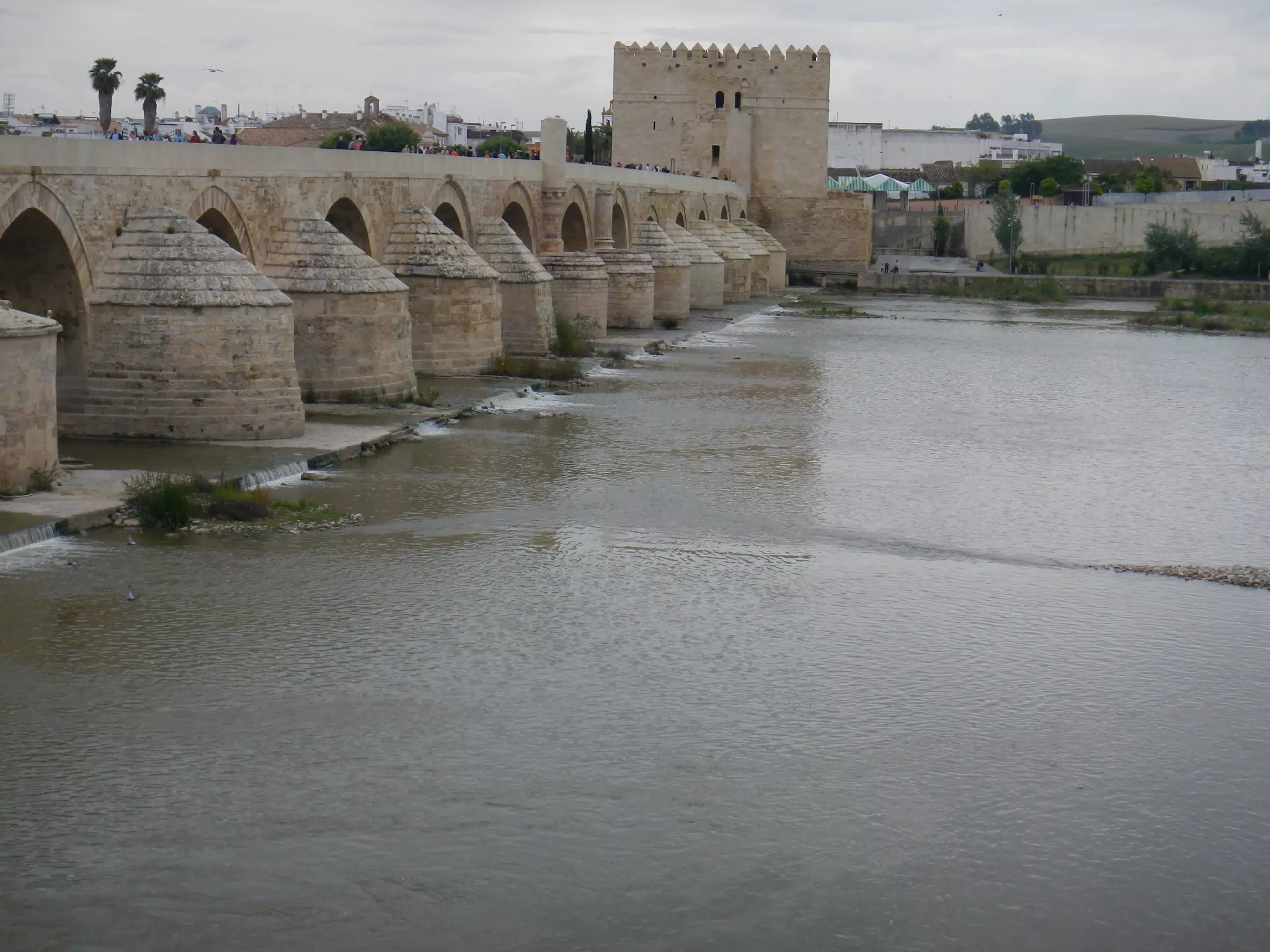Roman Bridge in Cordoba