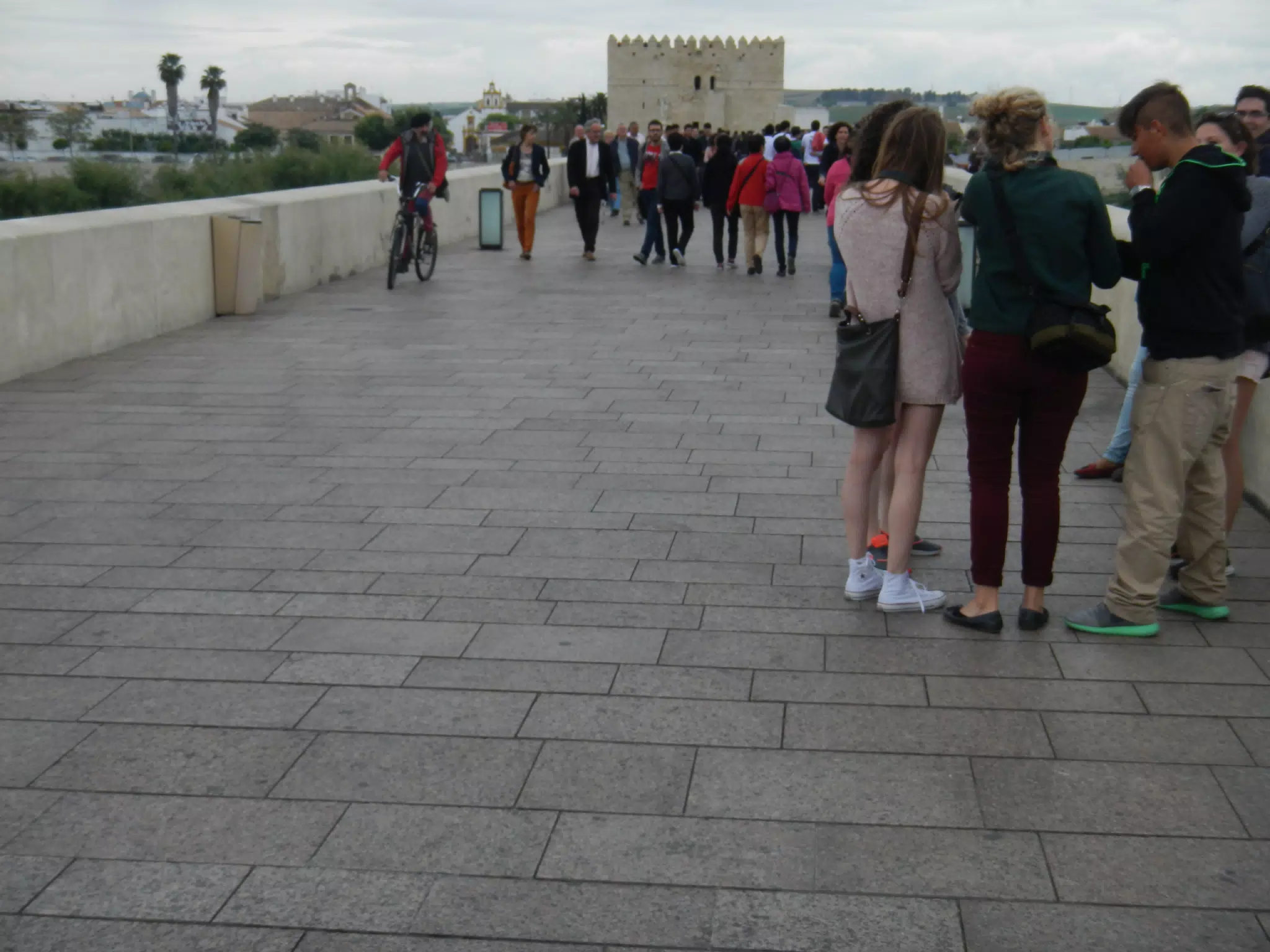 On the Roman Bridge in Cordoba