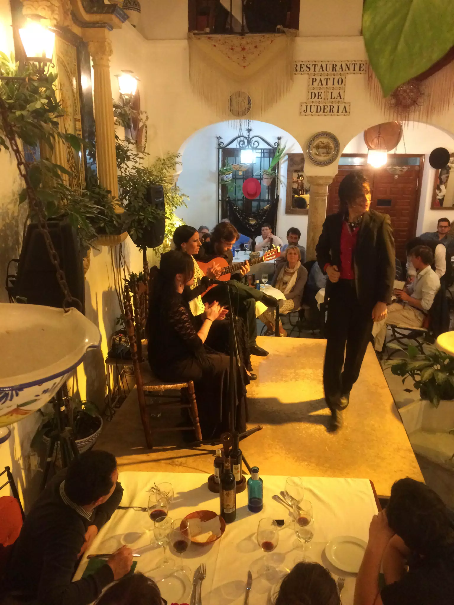 Flamenco Show