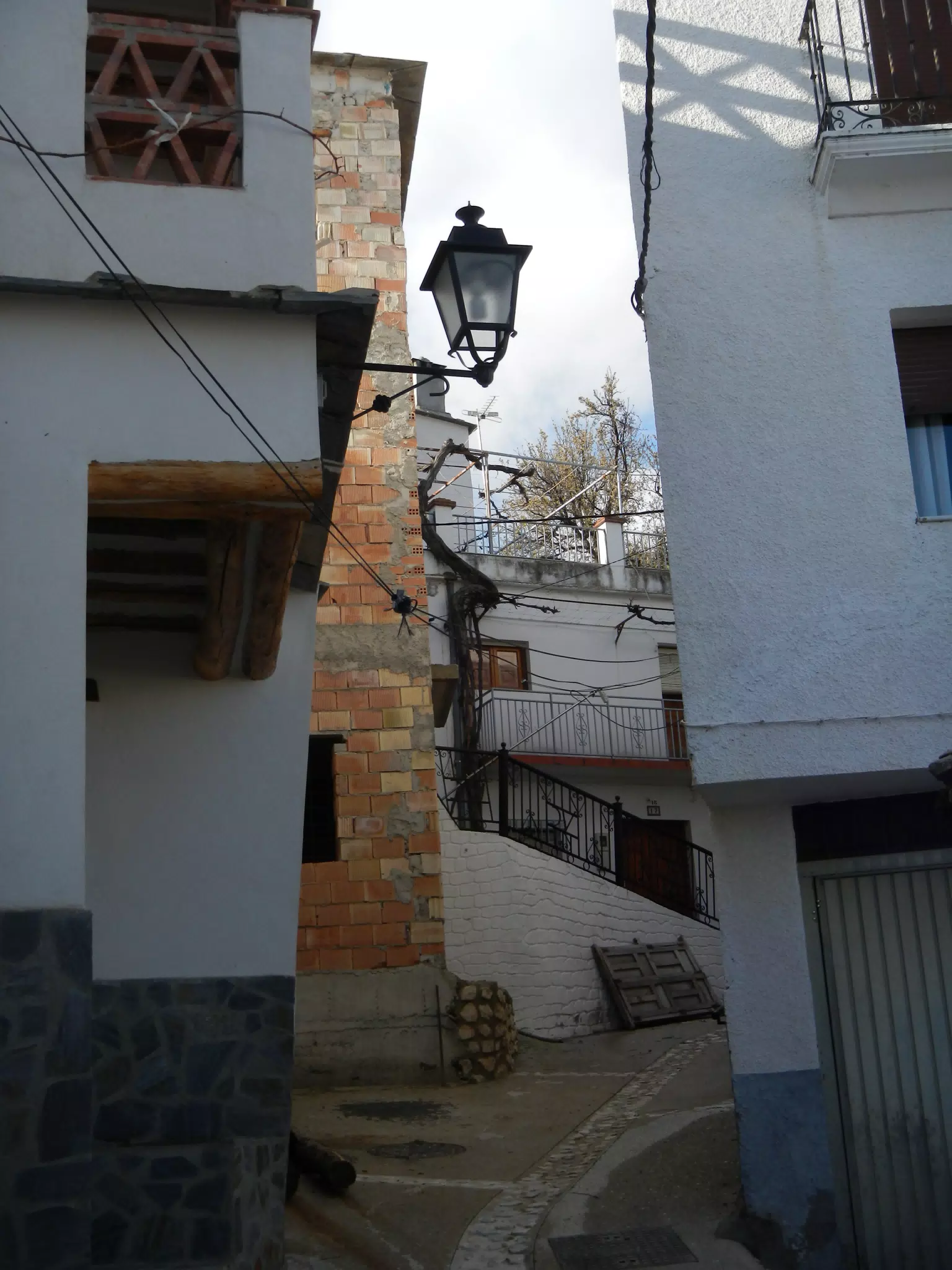 Upper Ally in Cañar