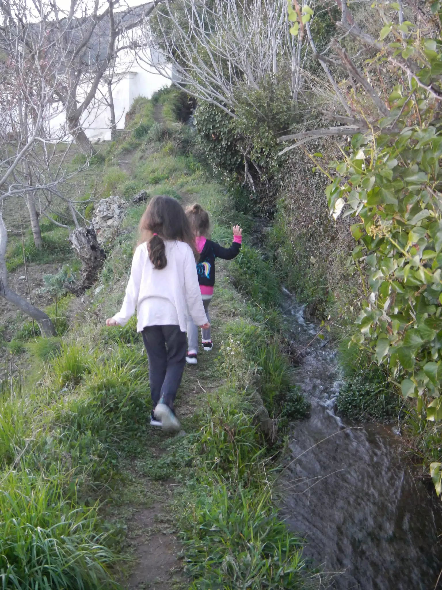 The Girls Climbing the Agri-Drainage Trail