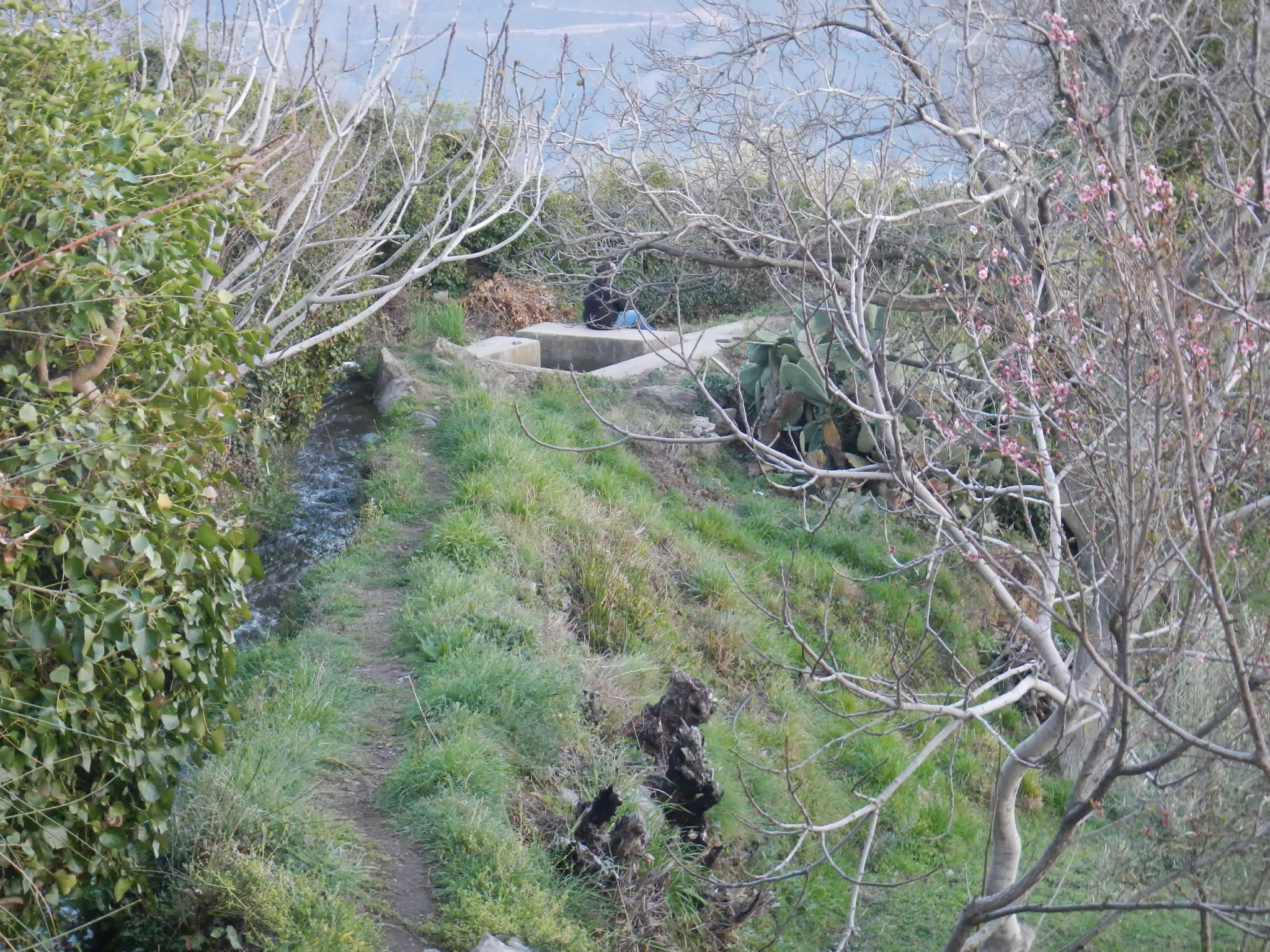 Dominica Resting on Farm Trail