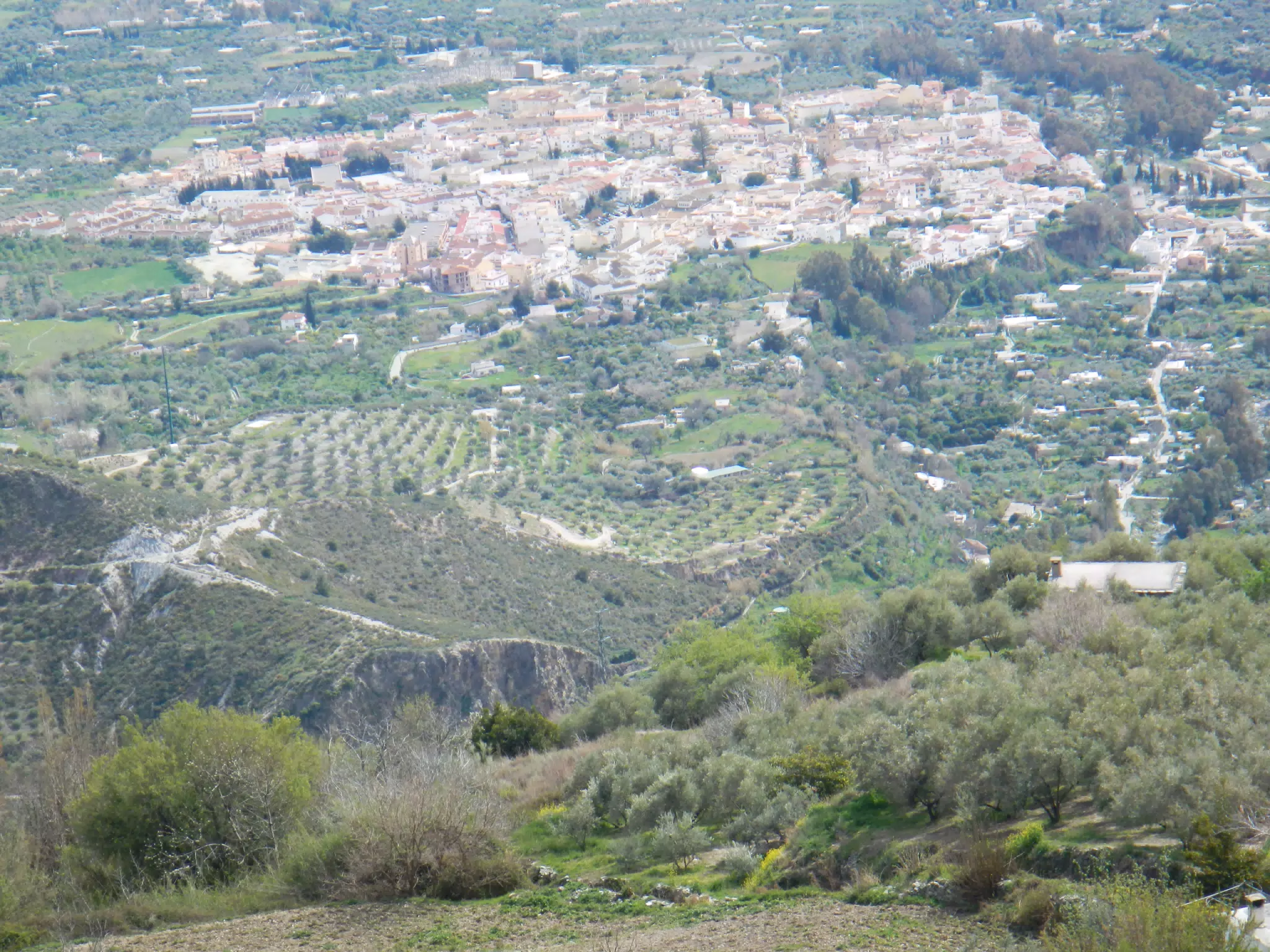 Órgiva and Olive Groves from GR7